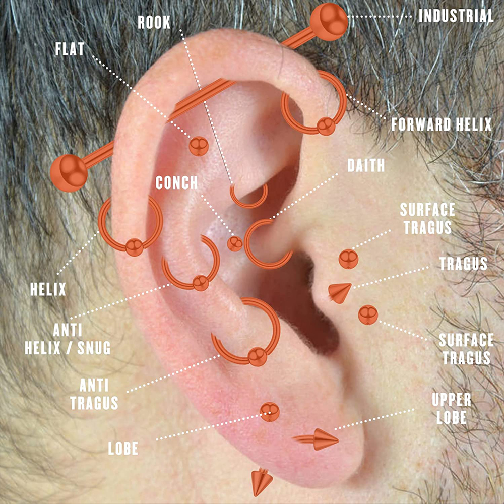Stainless Steel Piercing Kit B - Body Jewelry Tunnels のレビューと価格